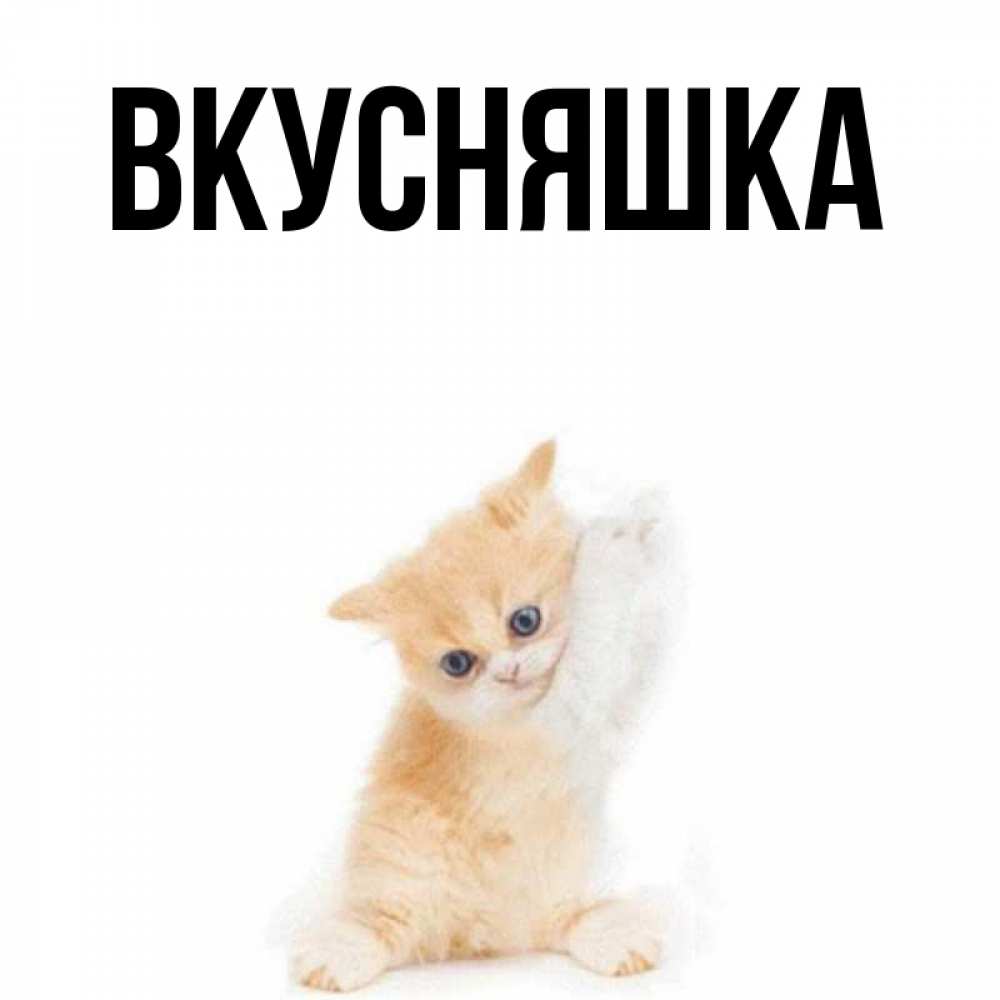 Открытка на каждый день с именем, Вкусняшка Главная зверушки и милота Прикольная открытка с пожеланием онлайн скачать бесплатно 