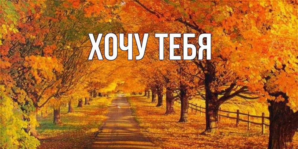Открытка на каждый день с именем, Хочу-тебя Главная деревья с осенними листьями Прикольная открытка с пожеланием онлайн скачать бесплатно 