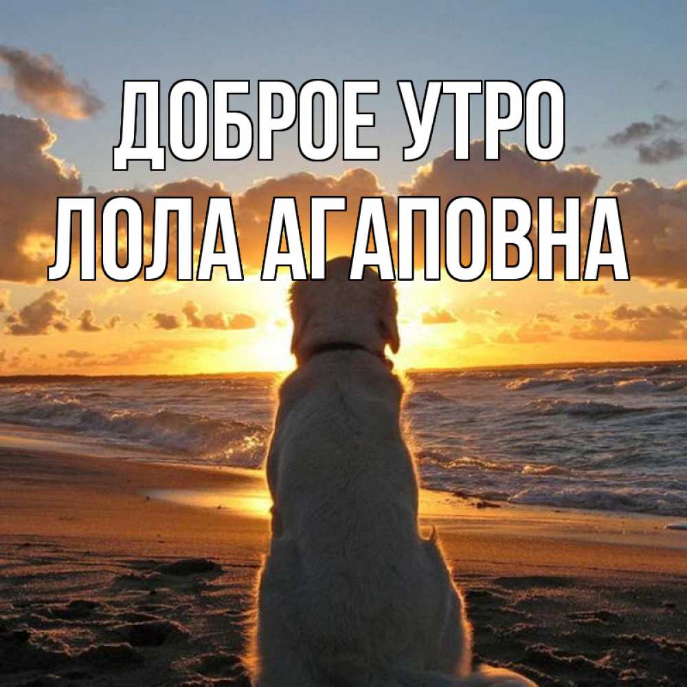 Картинка Доброе утро, Лола Агаповна