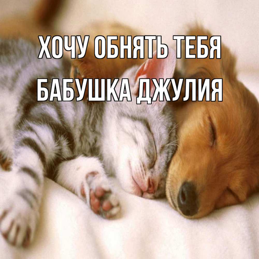 Открытка на каждый день с именем, Бабушка-Джулия Хочу обнять тебя пес и котенок Прикольная открытка с пожеланием онлайн скачать бесплатно 