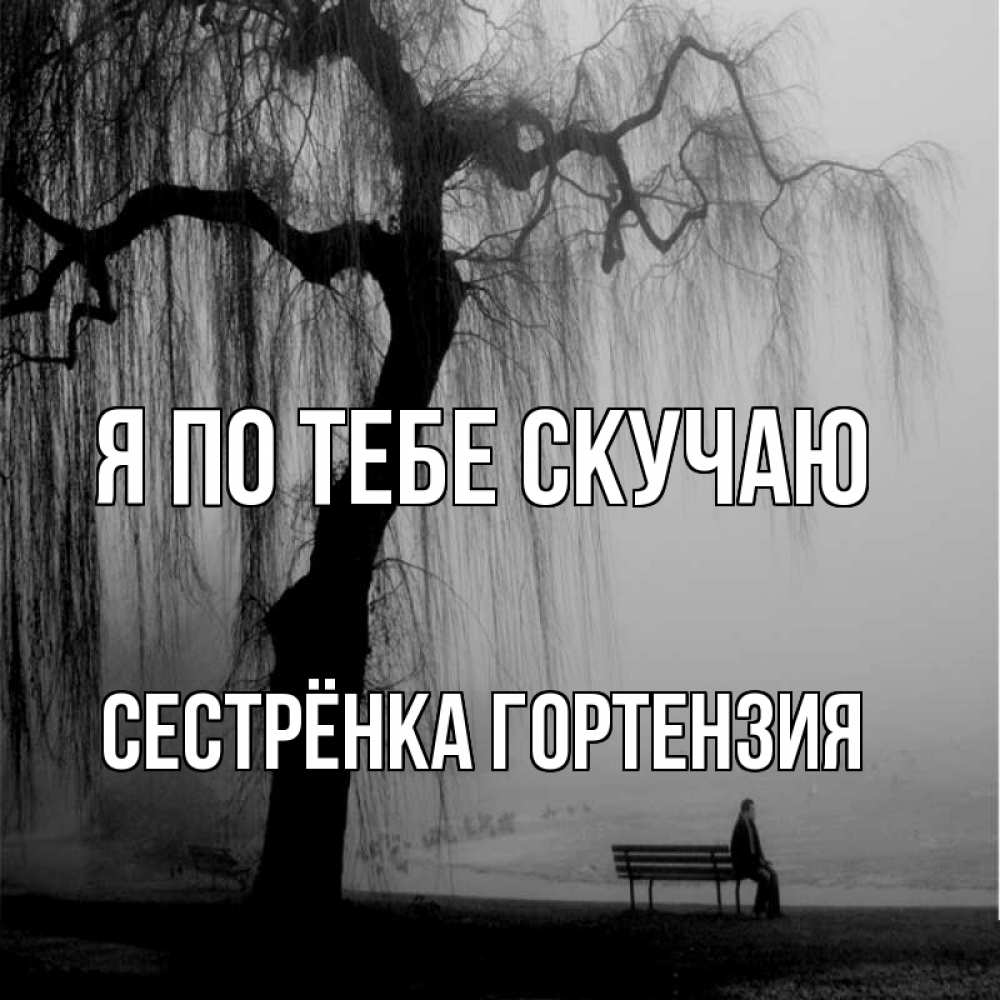 Открытка на каждый день с именем, Сестрёнка-Гортензия Я по тебе скучаю лавочка под деревом я жду тебя Прикольная открытка с пожеланием онлайн скачать бесплатно 