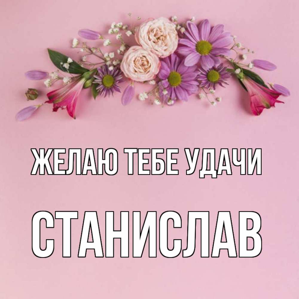 Открытка на каждый день с именем, Станислав Желаю тебе удачи розовый фон Прикольная открытка с пожеланием онлайн скачать бесплатно 