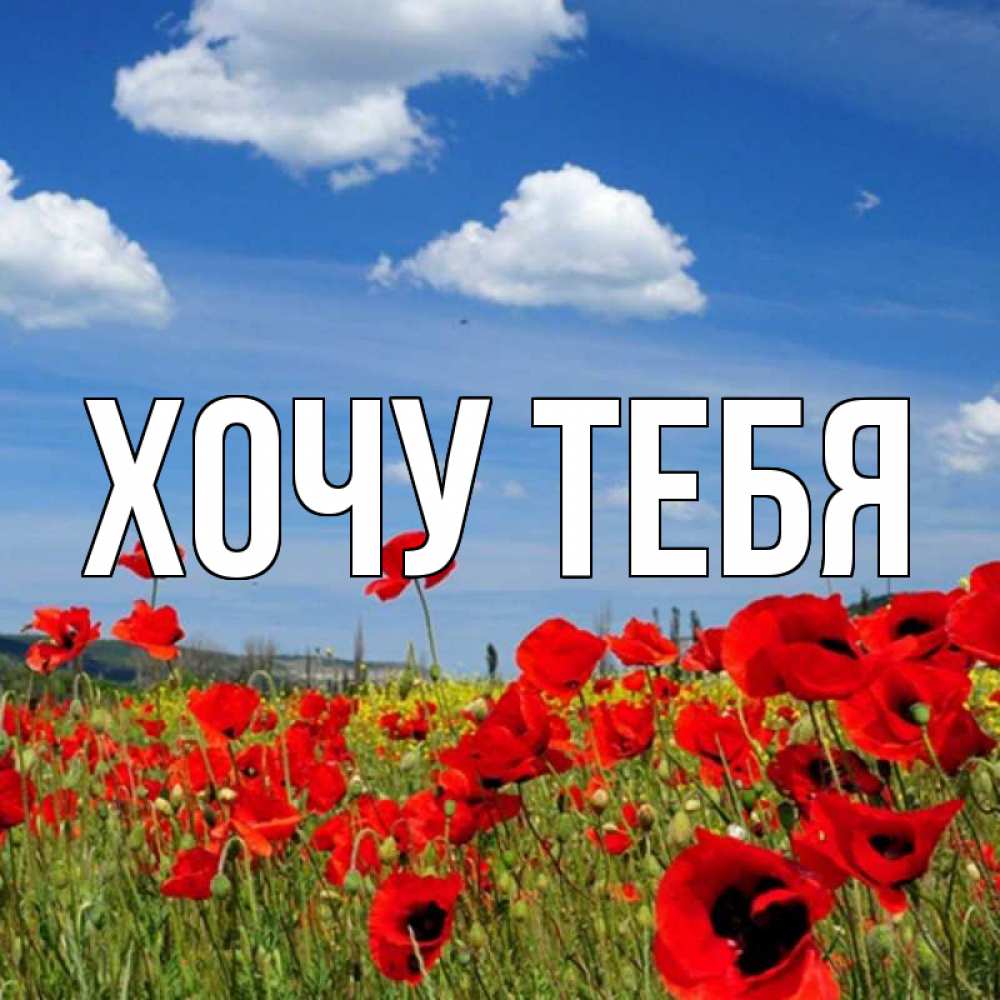 Открытка на каждый день с именем, Хочу-тебя Главная международный женский день 1 Прикольная открытка с пожеланием онлайн скачать бесплатно 