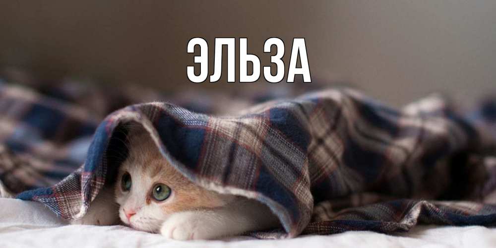Картинка  с именем , Эльза