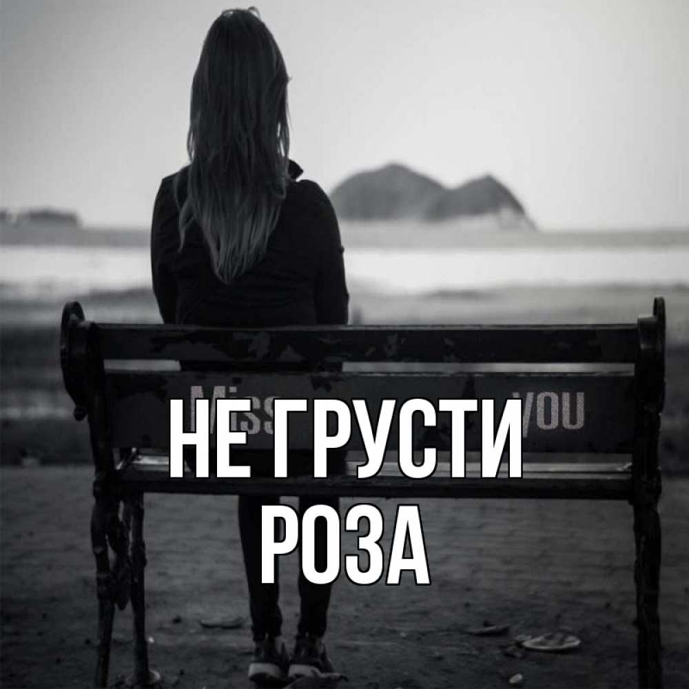 Открытка на каждый день с именем, Роза Не грусти смотрит на скалы Прикольная открытка с пожеланием онлайн скачать бесплатно 