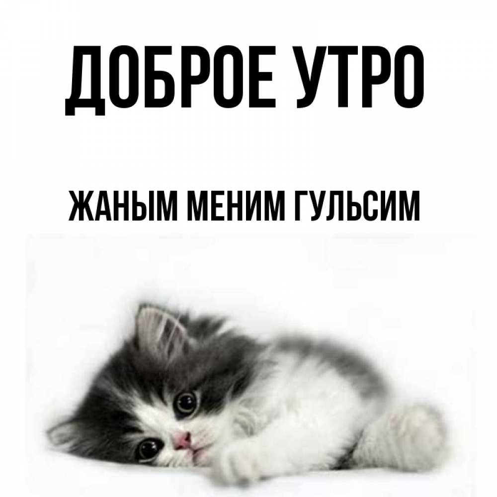 Доброе утро жаным картинки