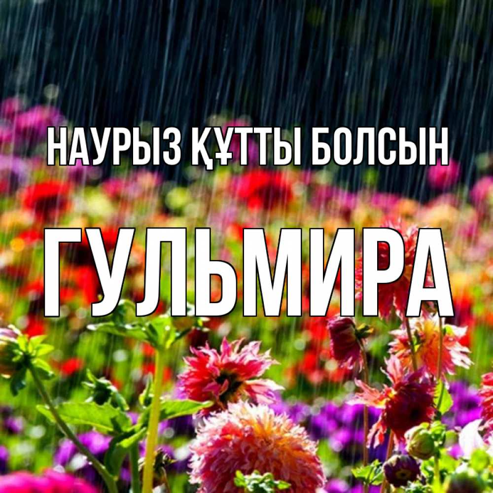 Открытка на каждый день с именем, Гульмира Наурыз құтты болсын цветы под дождиком к наурызу Прикольная открытка с пожеланием онлайн скачать бесплатно 