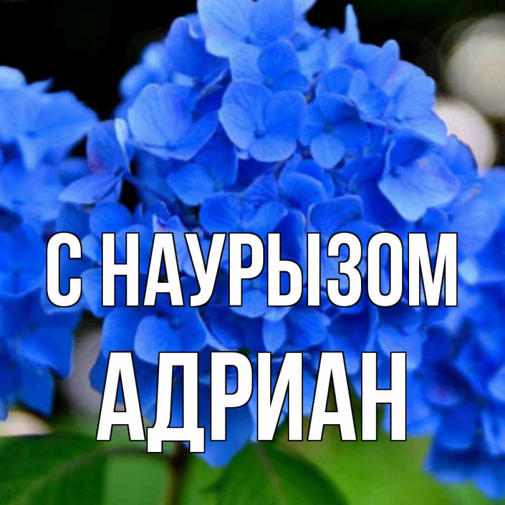 Открытка на каждый день с именем, Адриан С наурызом синие цветы Прикольная открытка с пожеланием онлайн скачать бесплатно 