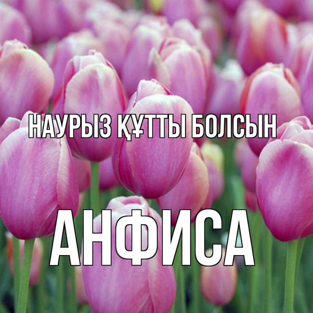 Открытка на каждый день с именем, Анфиса Наурыз құтты болсын на наурыз  день 3 Прикольная открытка с пожеланием онлайн скачать бесплатно 