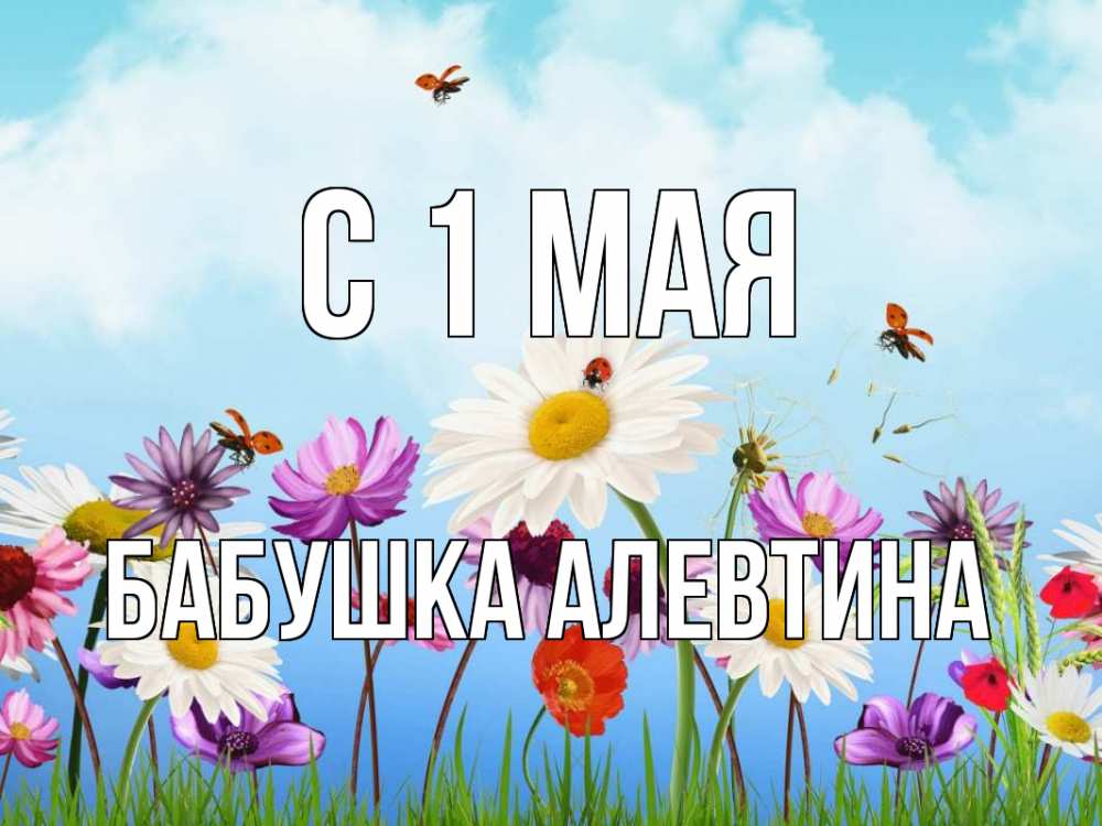 Открытка на каждый день с именем, Бабушка-Алевтина С 1 мая С 1 мая Прикольная открытка с пожеланием онлайн скачать бесплатно 