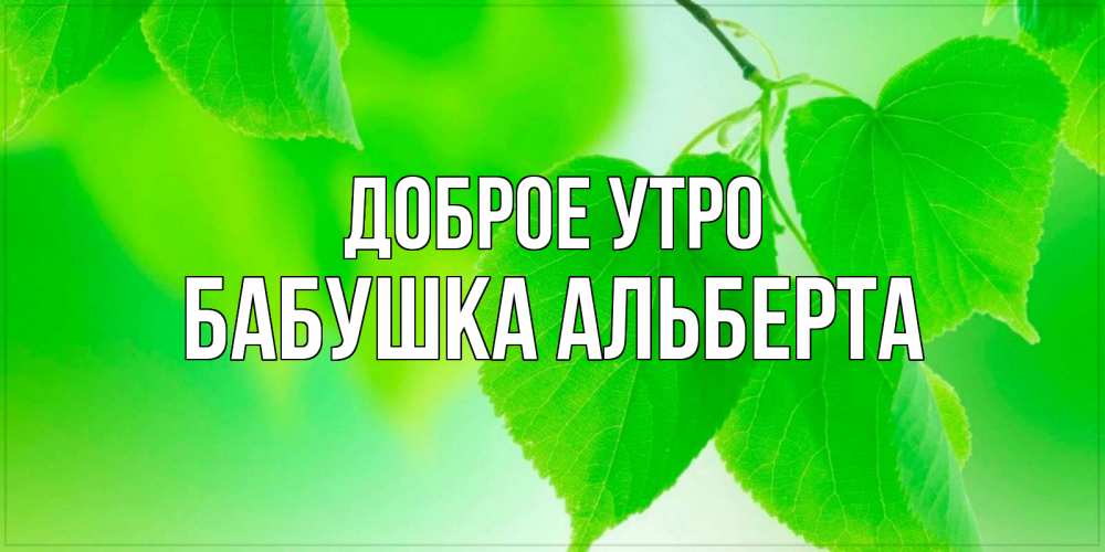 Открытка на каждый день с именем, Бабушка-Альберта Доброе утро доброе утро с березовыми листьями Прикольная открытка с пожеланием онлайн скачать бесплатно 