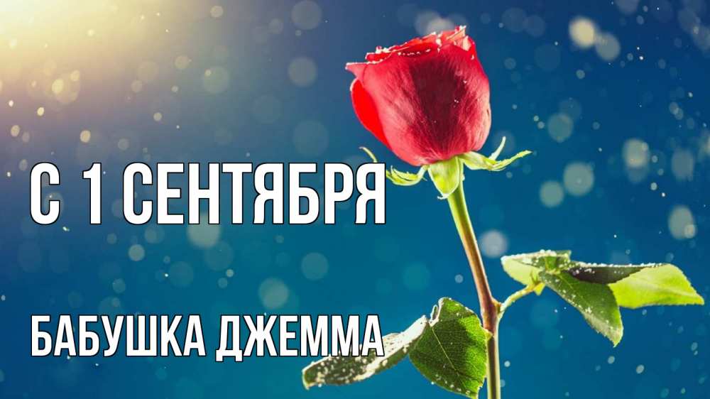 Открытка на каждый день с именем, Бабушка-Джемма С 1 сентября с днем знаний Прикольная открытка с пожеланием онлайн скачать бесплатно 
