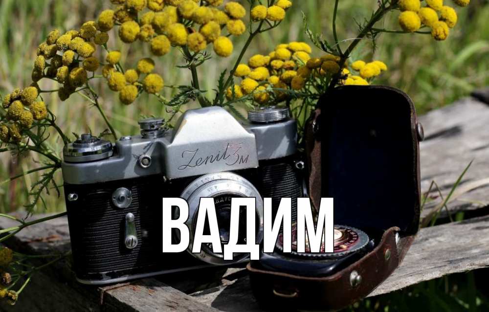 Открытка на каждый день с именем, Вадим Главная с днем фотографа Прикольная открытка с пожеланием онлайн скачать бесплатно 