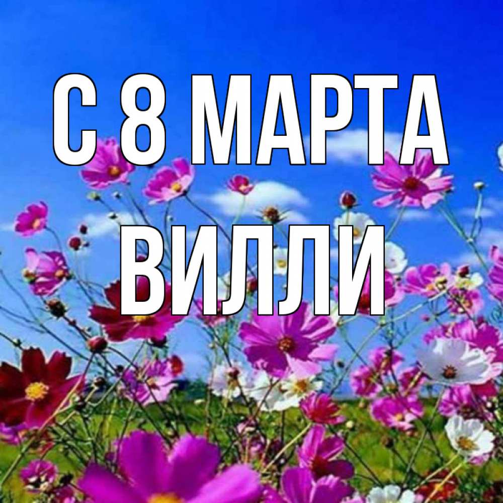 Открытка на каждый день с именем, Вилли С 8 МАРТА цветы Прикольная открытка с пожеланием онлайн скачать бесплатно 