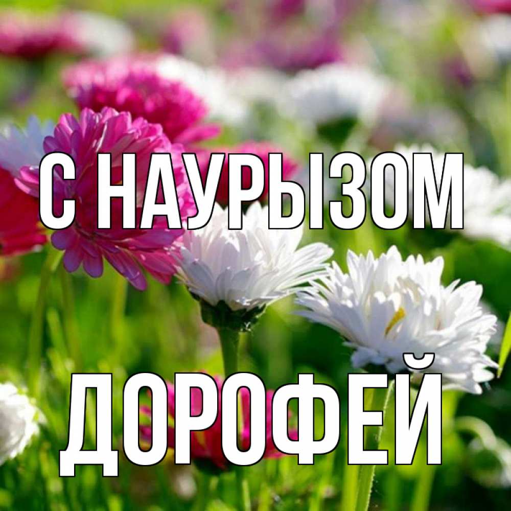 Открытка на каждый день с именем, Дорофей С наурызом праздник весны наурыз красота Прикольная открытка с пожеланием онлайн скачать бесплатно 