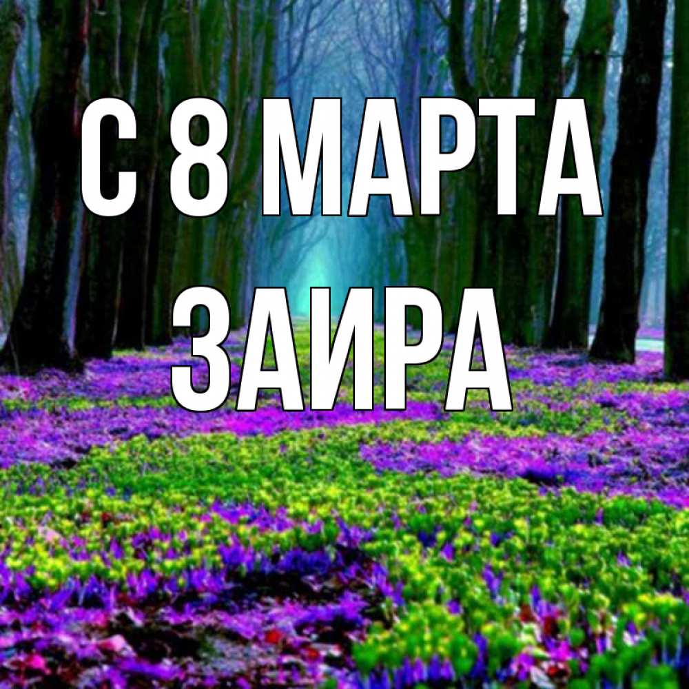 Открытка на каждый день с именем, Заира С 8 марта фиолетовые цветы в лесу 1 Прикольная открытка с пожеланием онлайн скачать бесплатно 