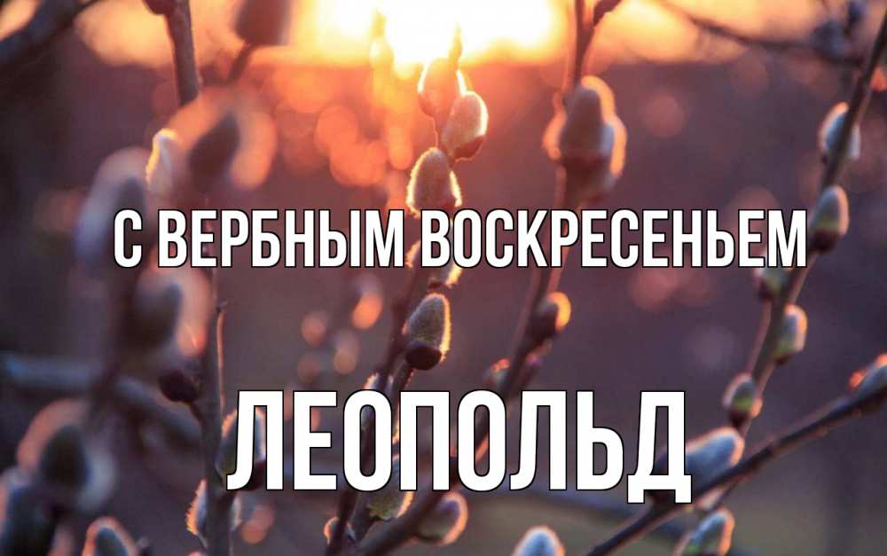 Открытка на каждый день с именем, Леопольд С вербным воскресеньем верба Прикольная открытка с пожеланием онлайн скачать бесплатно 