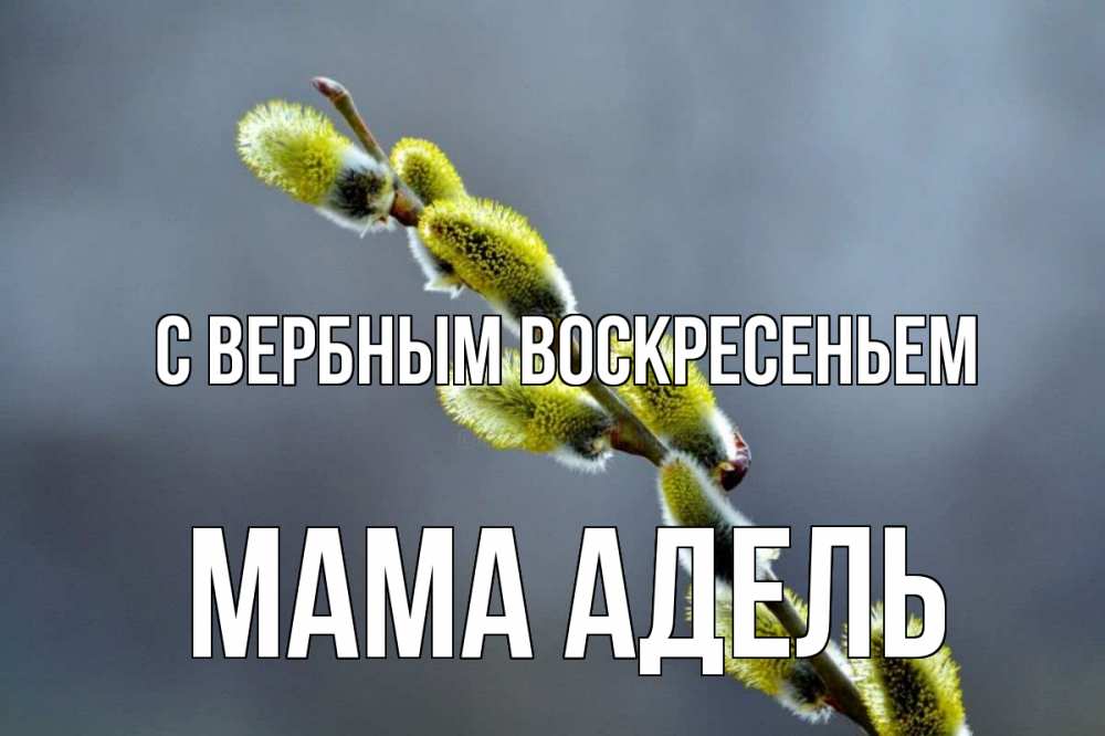 Открытка на каждый день с именем, Мама-Адель С вербным воскресеньем верба Прикольная открытка с пожеланием онлайн скачать бесплатно 
