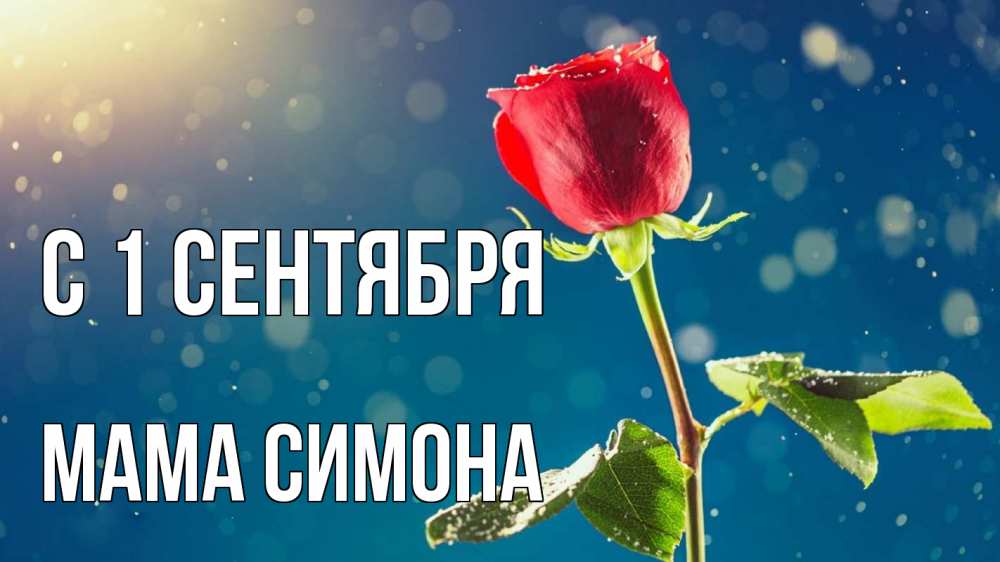 Открытка на каждый день с именем, Мама-Симона С 1 сентября с днем знаний Прикольная открытка с пожеланием онлайн скачать бесплатно 