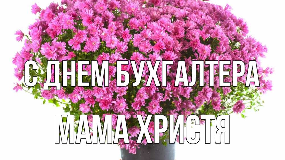 Открытка на каждый день с именем, Мама-Христя С днем бухгалтера с днем бухгалтера Прикольная открытка с пожеланием онлайн скачать бесплатно 