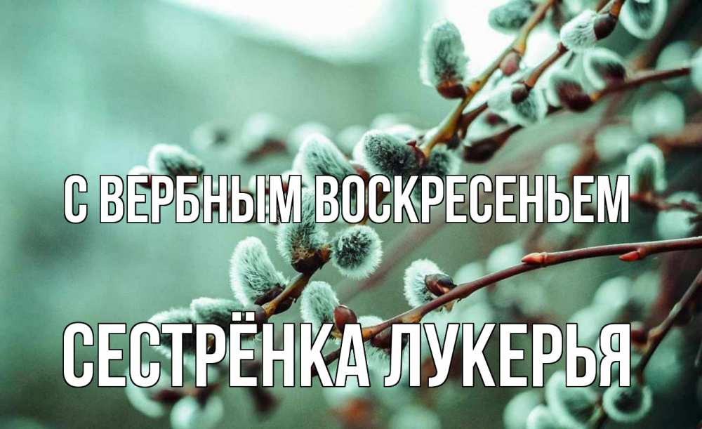 Открытка на каждый день с именем, Сестрёнка-Лукерья С вербным воскресеньем верба Прикольная открытка с пожеланием онлайн скачать бесплатно 