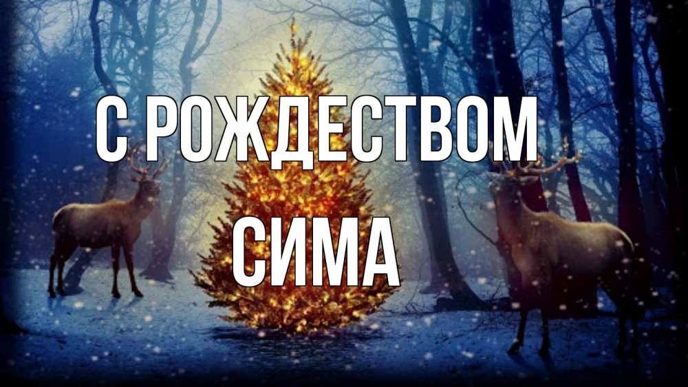 Открытка на каждый день с именем, Сима С рождеством олени, новогодняя елка Прикольная открытка с пожеланием онлайн скачать бесплатно 