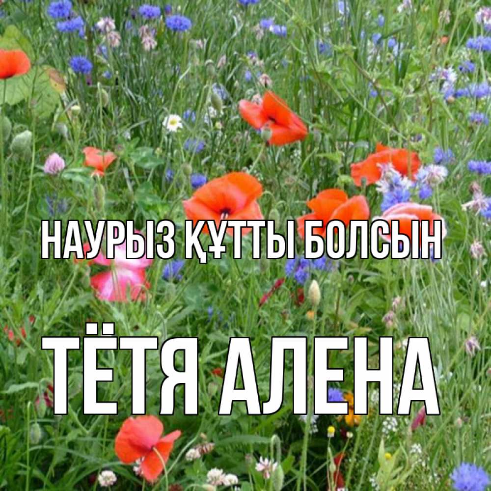 Открытка на каждый день с именем, Тётя-Алена Наурыз құтты болсын наурыз  4 Прикольная открытка с пожеланием онлайн скачать бесплатно 