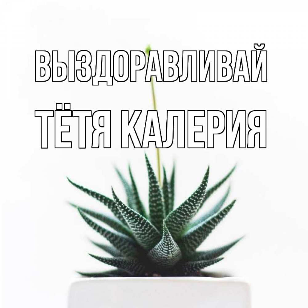 Открытка на каждый день с именем, Тётя-Калерия Выздоравливай короче это непонятная колючка Прикольная открытка с пожеланием онлайн скачать бесплатно 
