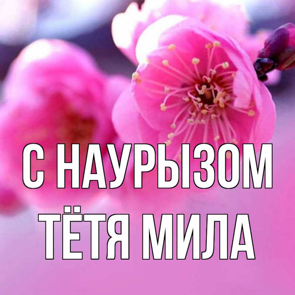 Открытка на каждый день с именем, Тётя-Мила С наурызом международный женский день Прикольная открытка с пожеланием онлайн скачать бесплатно 