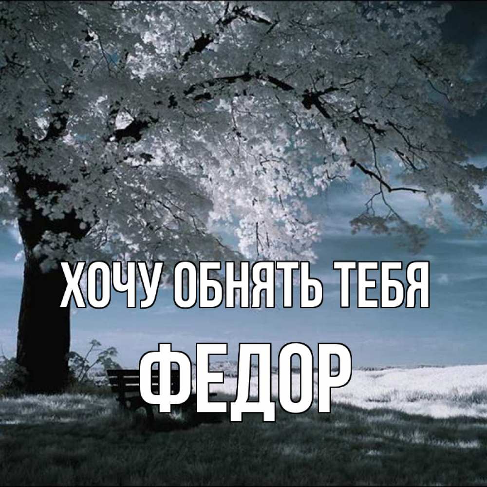 Открытка на каждый день с именем, Федор Хочу обнять тебя дерево Прикольная открытка с пожеланием онлайн скачать бесплатно 