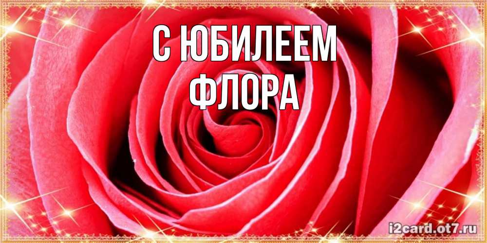 Открытка на каждый день с именем, Флора С юбилеем розовая роза очень крупный бутон Прикольная открытка с пожеланием онлайн скачать бесплатно 
