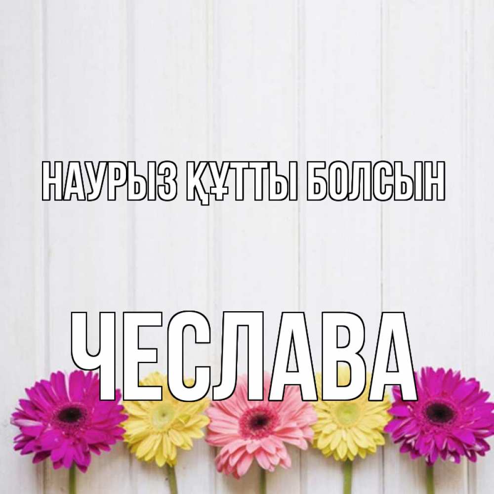 Открытка на каждый день с именем, Чеслава Наурыз құтты болсын женщинам 1 Прикольная открытка с пожеланием онлайн скачать бесплатно 