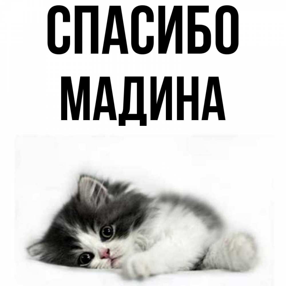 Картинки С Именем Мадина