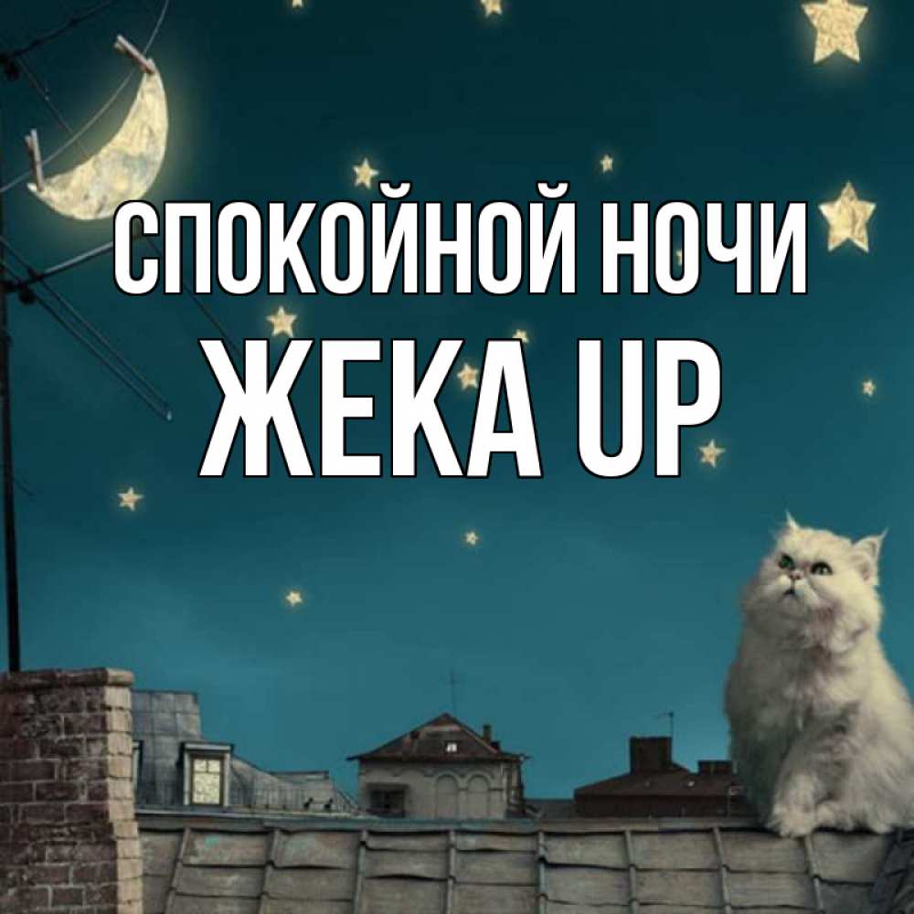синеглазая ночь. жека ночь. спокойной ночи кума. спокойной ночи женя. песня жека из жека.