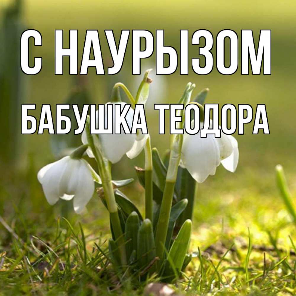 Открытка на каждый день с именем, Бабушка-Теодора С наурызом ранние цветы 2 Прикольная открытка с пожеланием онлайн скачать бесплатно 