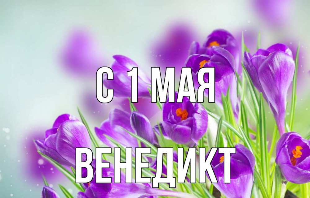 Открытка на каждый день с именем, Венедикт С 1 мая 1 мая Прикольная открытка с пожеланием онлайн скачать бесплатно 