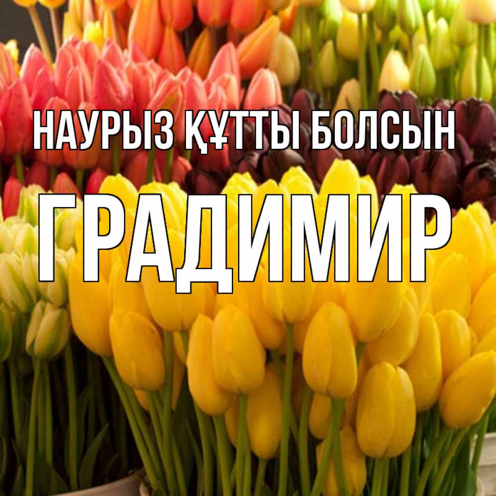Открытка на каждый день с именем, Градимир Наурыз құтты болсын цветы Прикольная открытка с пожеланием онлайн скачать бесплатно 