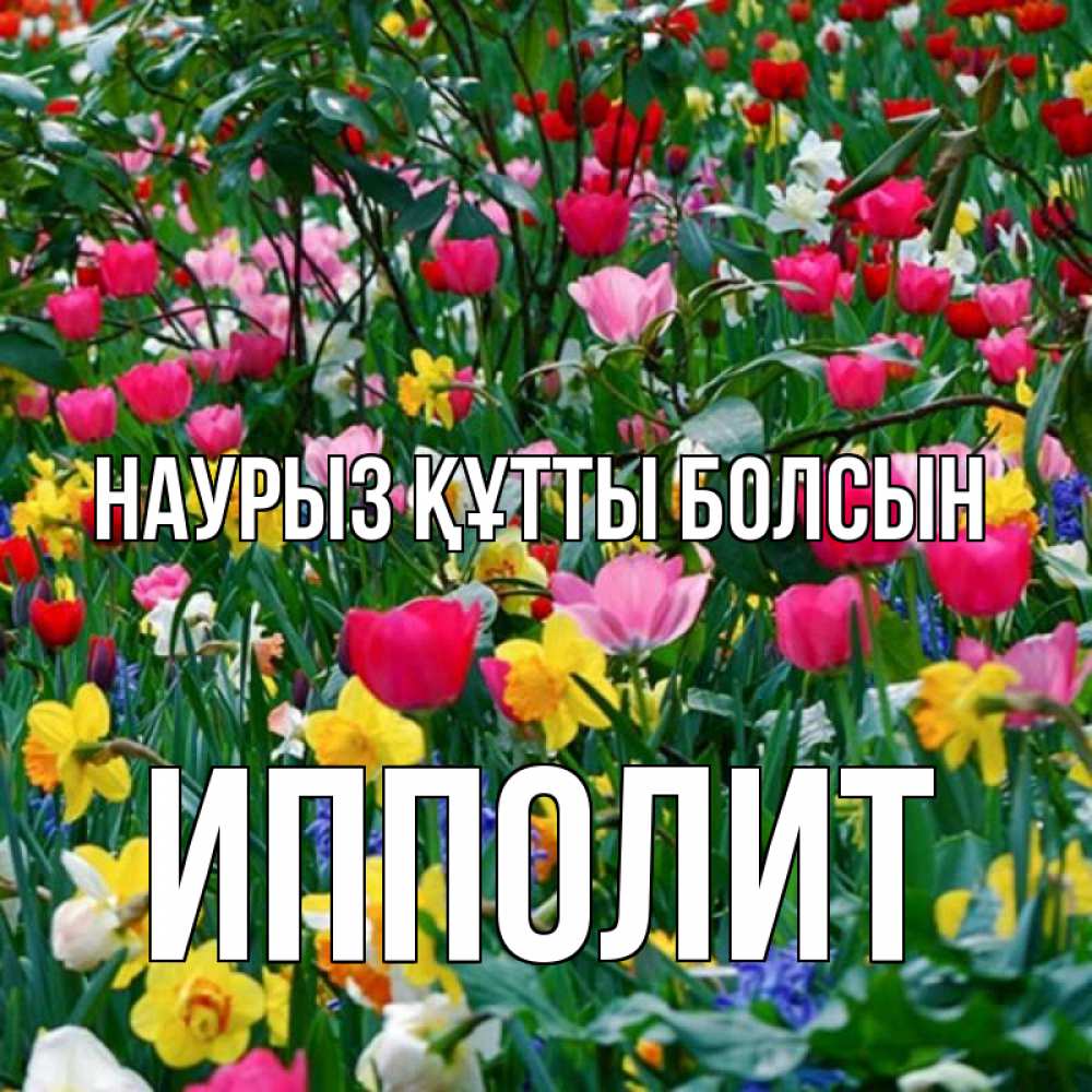 Открытка на каждый день с именем, Ипполит Наурыз құтты болсын с наурызом поздравления для женщины Прикольная открытка с пожеланием онлайн скачать бесплатно 