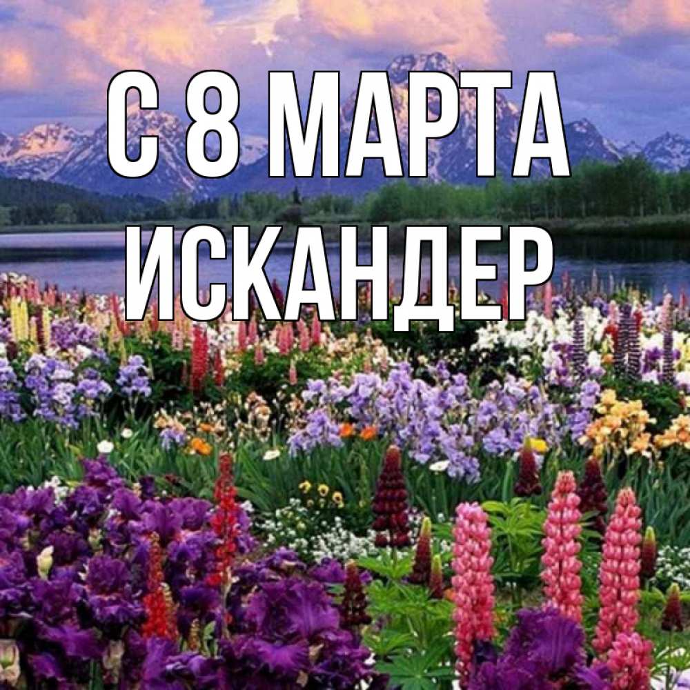 Открытка на каждый день с именем, Искандер С 8 МАРТА международный женский день Прикольная открытка с пожеланием онлайн скачать бесплатно 