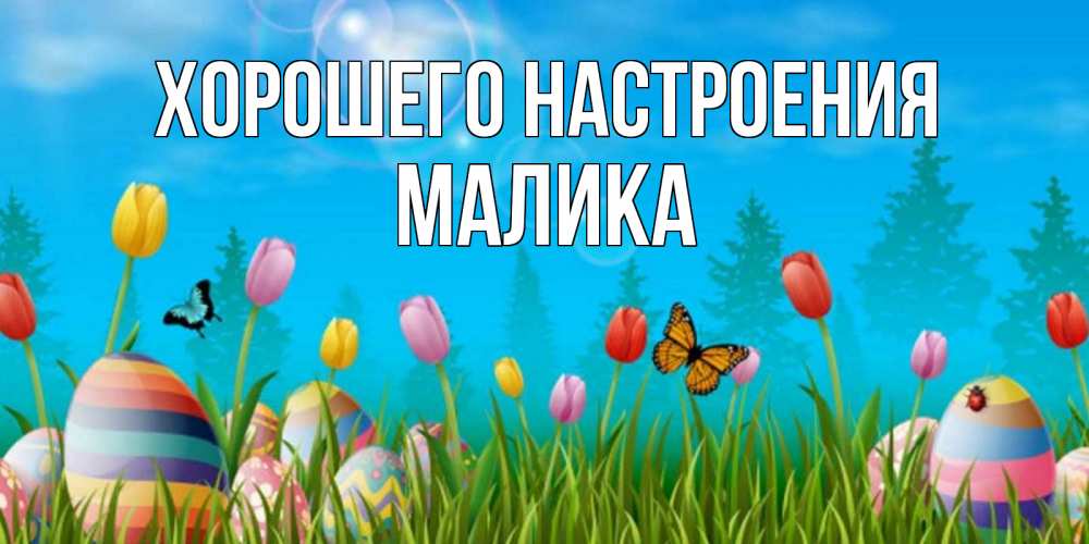 Открытка на каждый день с именем, Малика Хорошего настроения небо и тюльпаны с бабочкой Прикольная открытка с пожеланием онлайн скачать бесплатно 