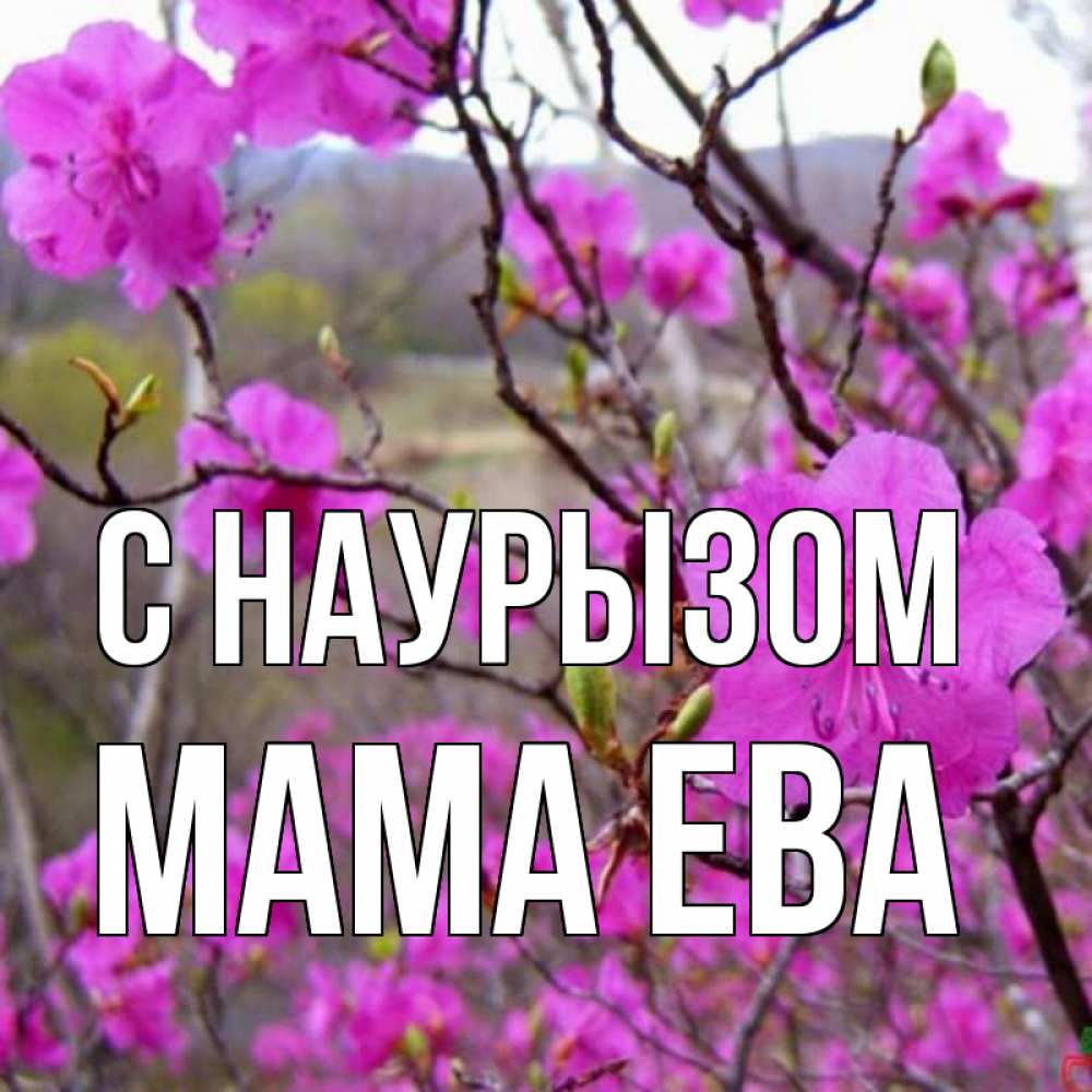 Открытка на каждый день с именем, Мама-Ева С наурызом праздник весны наурыз Прикольная открытка с пожеланием онлайн скачать бесплатно 