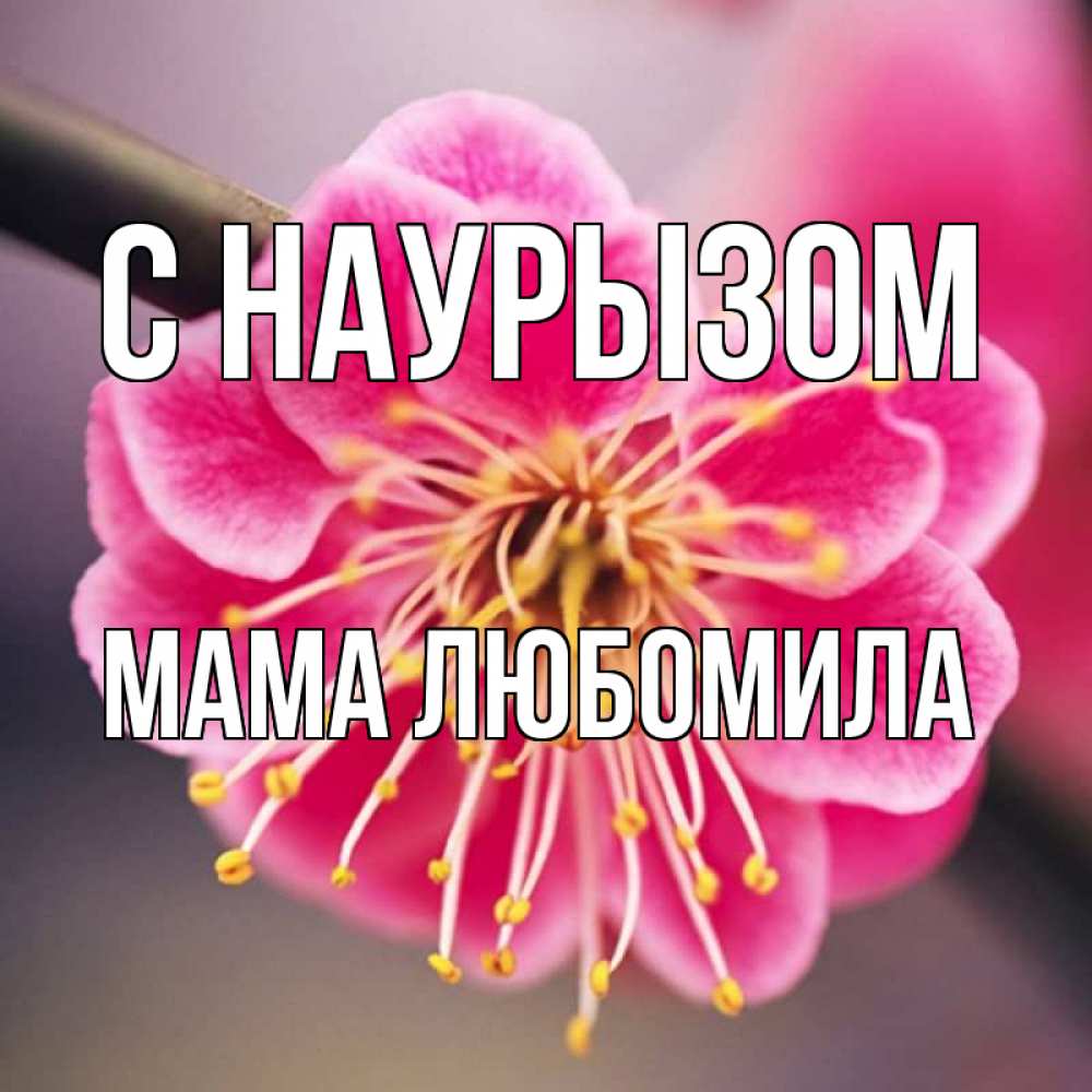 Открытка на каждый день с именем, Мама-Любомила С наурызом цветы Прикольная открытка с пожеланием онлайн скачать бесплатно 