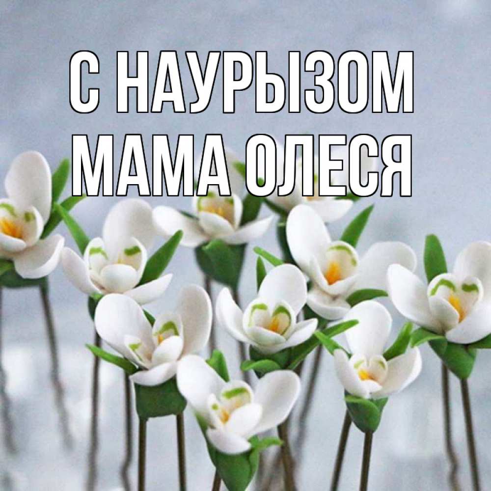 Открытка на каждый день с именем, Мама-Олеся С наурызом весенние цветы Прикольная открытка с пожеланием онлайн скачать бесплатно 