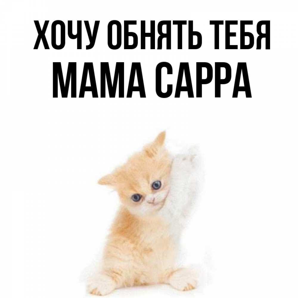 Открытка на каждый день с именем, Мама-Сарра Хочу обнять тебя я хочу очень скорее обнимаешек Прикольная открытка с пожеланием онлайн скачать бесплатно 