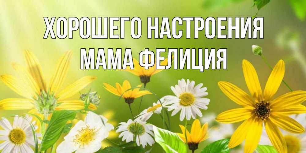 Открытка на каждый день с именем, Мама-Фелиция Хорошего настроения цветы Прикольная открытка с пожеланием онлайн скачать бесплатно 