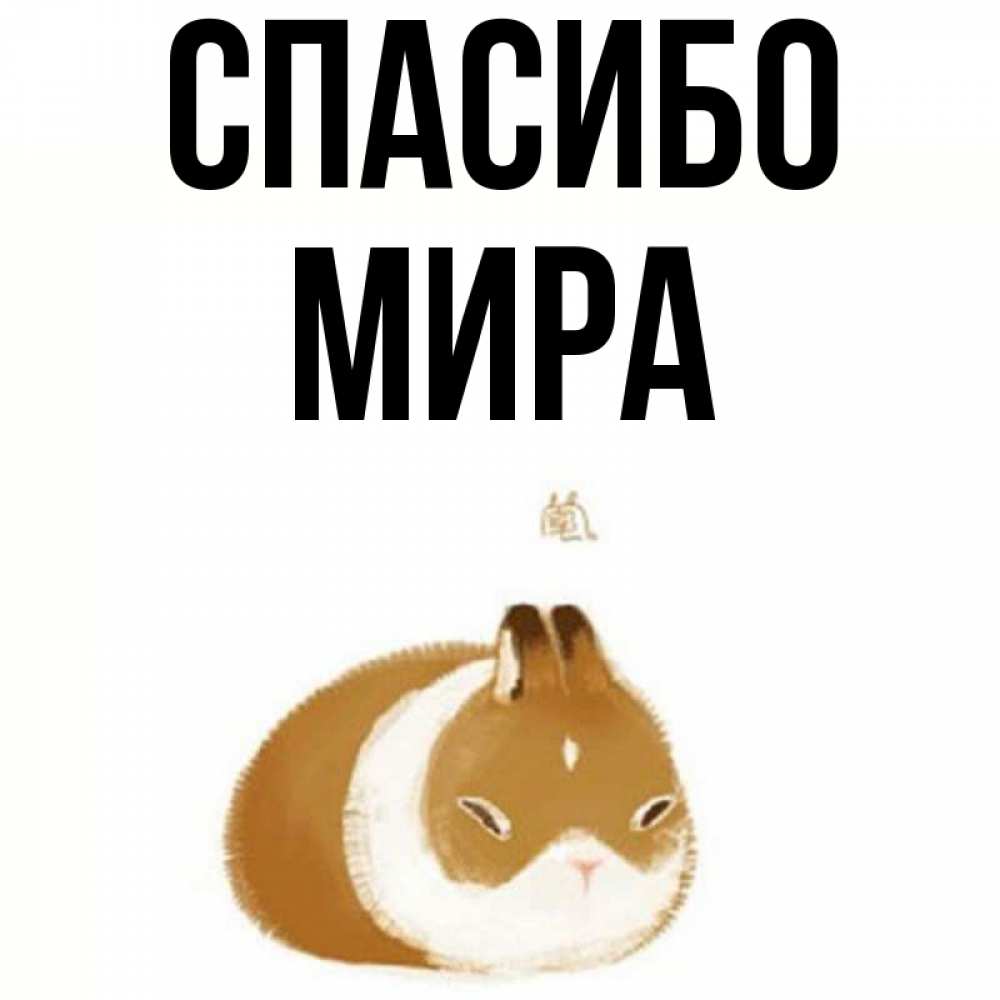 Открытка на каждый день с именем, Мира Спасибо коричнево белый домашний питомец Прикольная открытка с пожеланием онлайн скачать бесплатно 
