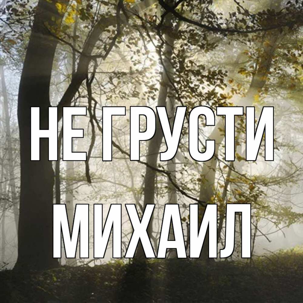 Открытка на каждый день с именем, Михаил Не грусти лес и свет Прикольная открытка с пожеланием онлайн скачать бесплатно 