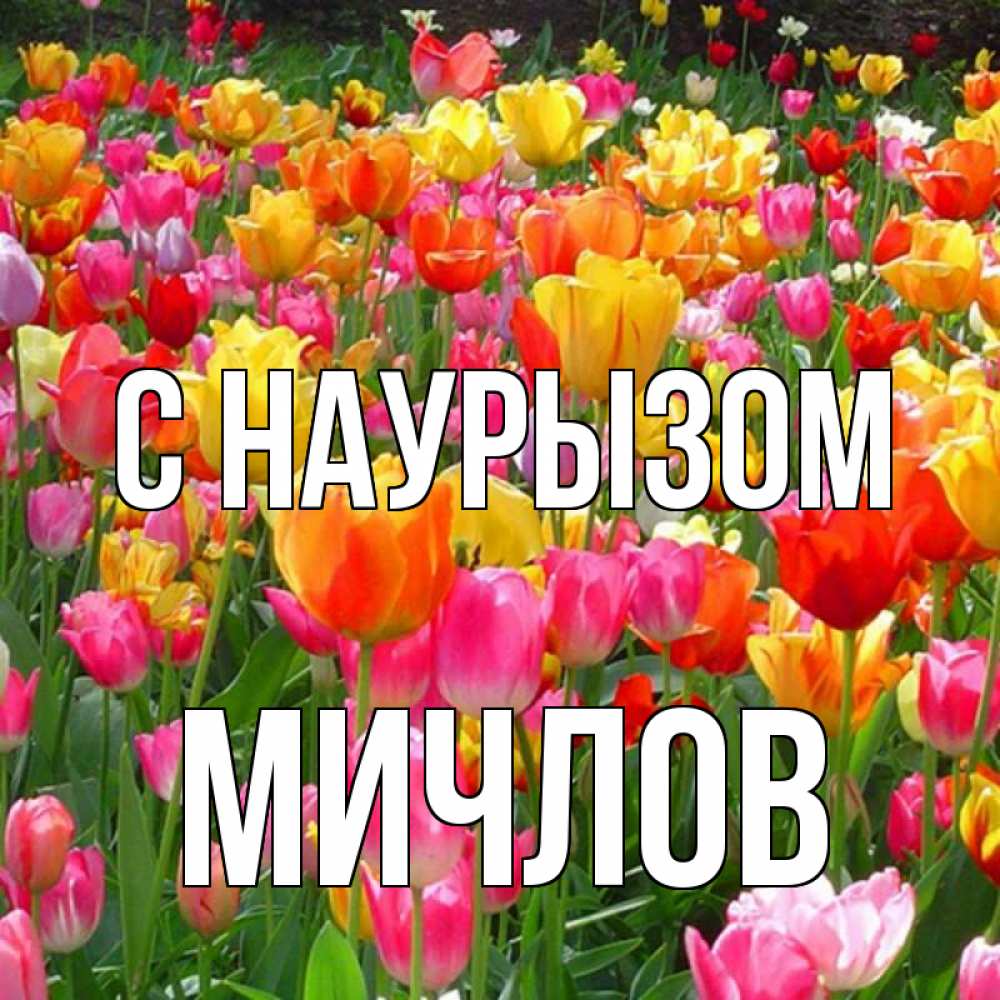 Открытка на каждый день с именем, Мичлов С наурызом праздник весны наурыз 4 Прикольная открытка с пожеланием онлайн скачать бесплатно 