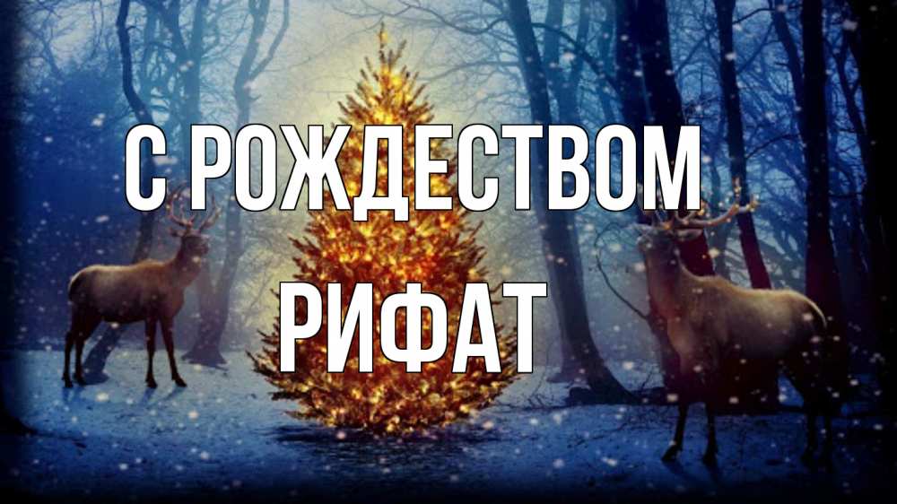 Открытка на каждый день с именем, Рифат С рождеством олени, новогодняя елка Прикольная открытка с пожеланием онлайн скачать бесплатно 