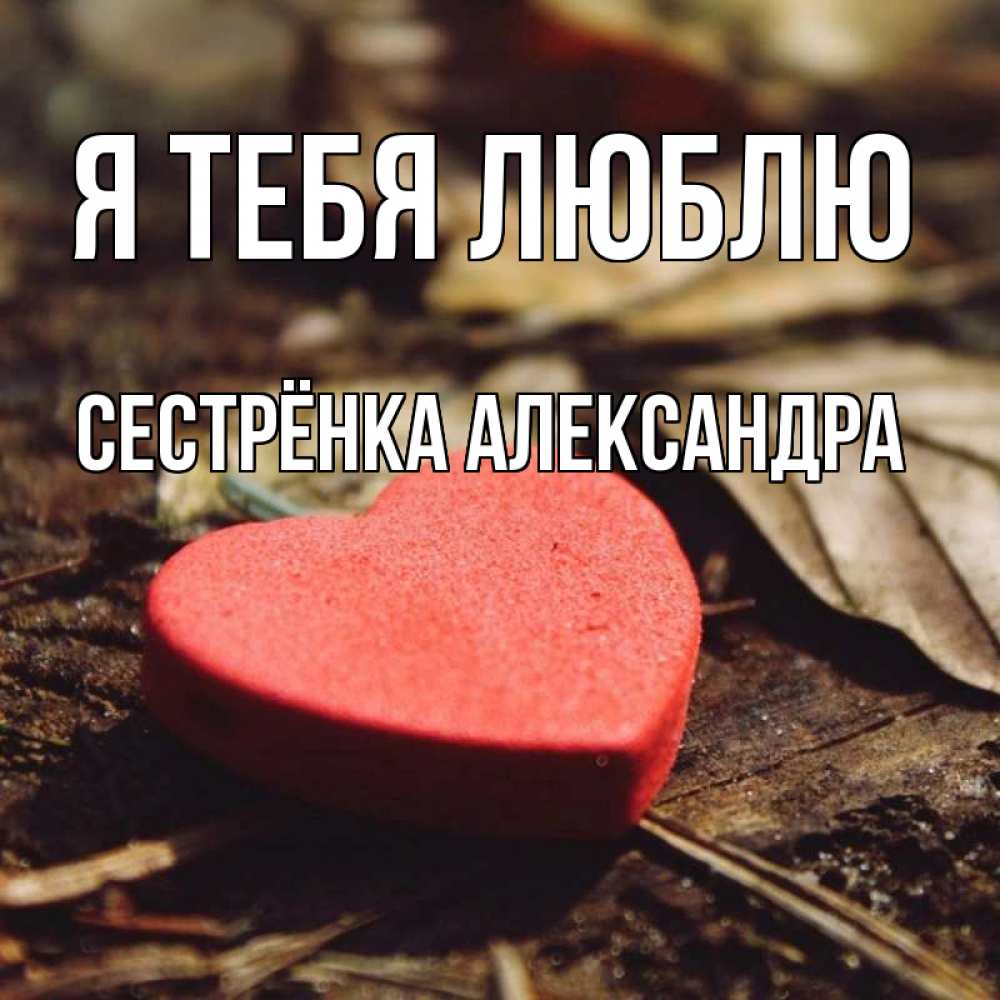 Открытка на каждый день с именем, Сестрёнка-Александра Я тебя люблю листья деревье 4 Прикольная открытка с пожеланием онлайн скачать бесплатно 